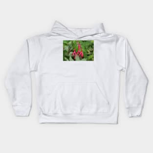 Red fuchsia flowers with leaves in the background Kids Hoodie
